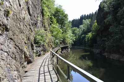 Riegrova stezka Semily - Spálov