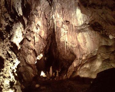 Bozkovské dolomitové jeskyně