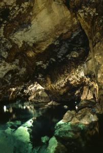 Bozkovské dolomitové jeskyně - jezero